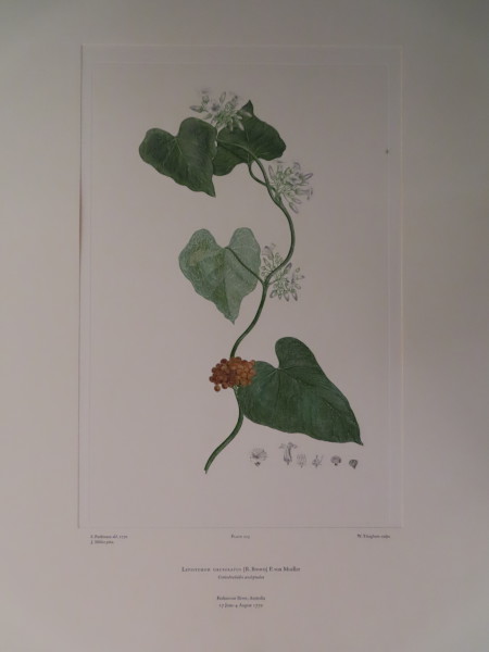 image FDA-E.2916_10_26-2016-A