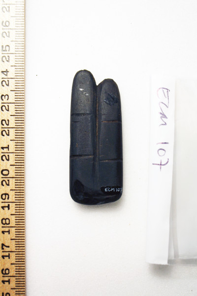 ECM.107-2010-B image ECM.107-2010-B