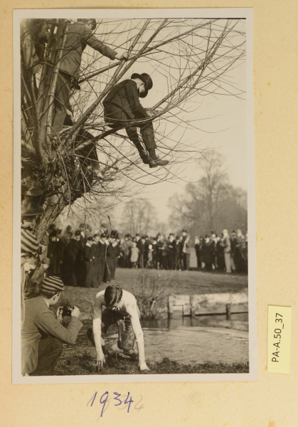 PA-A.50_37-2013 image PA-A.50_37-2013