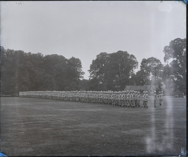 image PA-N.1336-2024