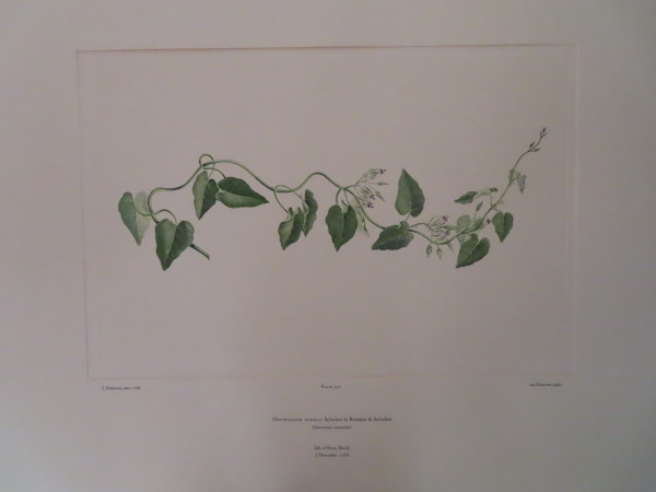 FDA-E.2916_16_16-2016-A image FDA-E.2916_16_16-2016-A