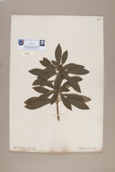 NHM_HH_17.11-2010 image NHM_HH_17.11-2010