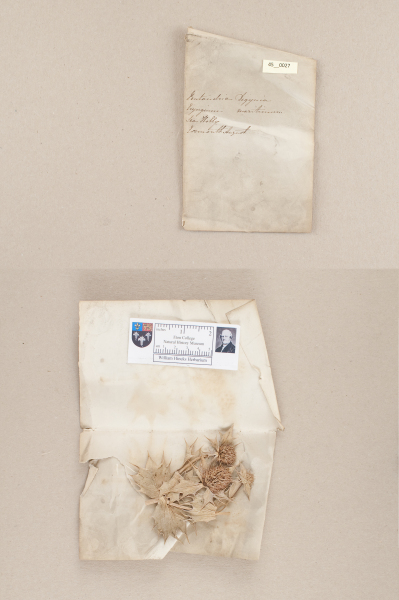 NHM_HH_45.27-2010 image NHM_HH_45.27-2010