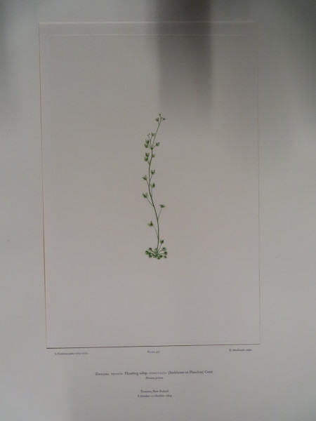 FDA-E.2916_21_17-2016-A image FDA-E.2916_21_17-2016-A