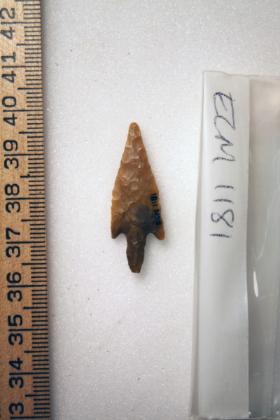 ECM.1181-2010-B image ECM.1181-2010-B