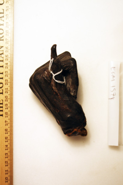 ECM.1574-2010-B image ECM.1574-2010-B