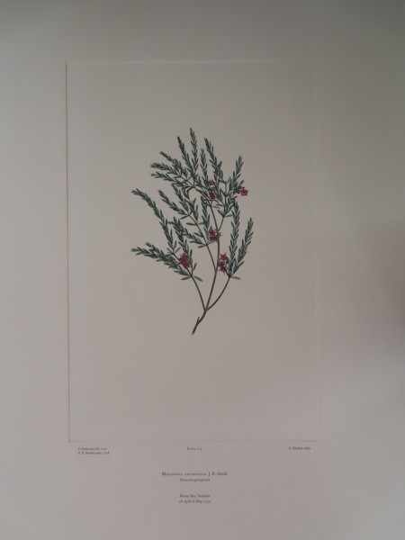 FDA-E.2916_6_6-2016 image FDA-E.2916_6_6-2016