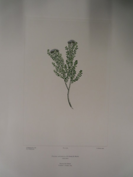 FDA-E.2916_23_18-2016-A image FDA-E.2916_23_18-2016-A