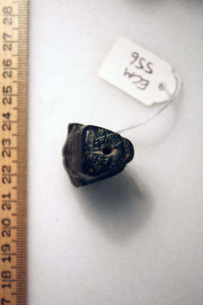 ECM.556-2010-E image ECM.556-2010-E