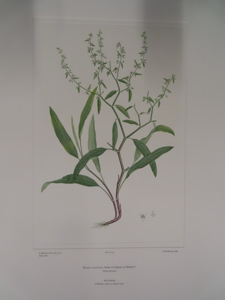 FDA-E.2916_25_23-2016 image FDA-E.2916_25_23-2016