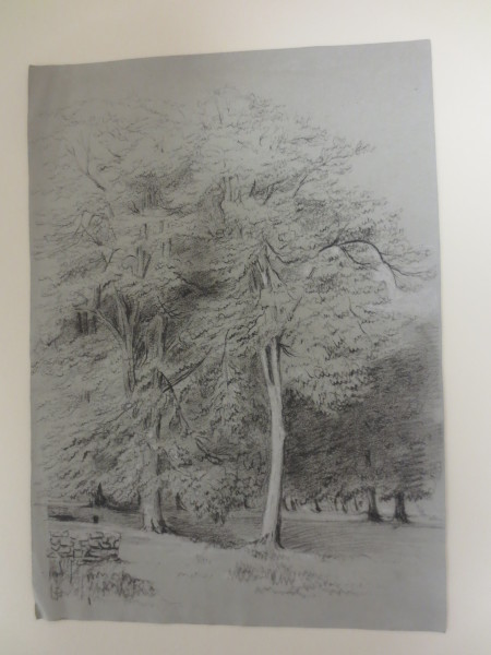 FDA-D.1405-2015 image FDA-D.1405-2015