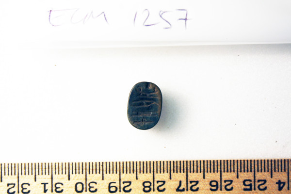 ECM.1257-2010-B image ECM.1257-2010-B