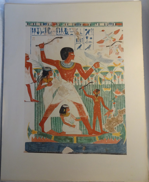 image FDA-E.3055_72-2018