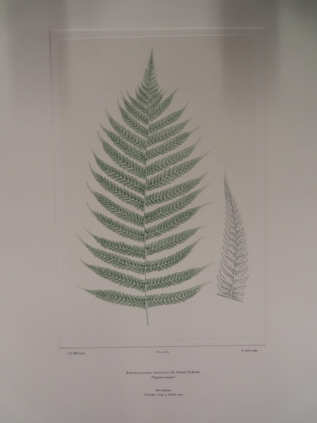 image FDA-E.2916_27_25-2016-A