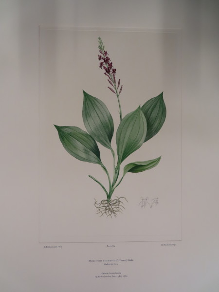 FDA-E.2916_31_17-2016 image FDA-E.2916_31_17-2016