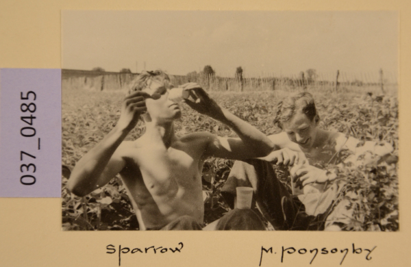 PA-A.37_485-2012 image PA-A.37_485-2012