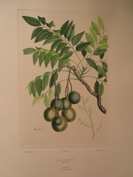 image FDA-E.2916_28_14-2016-A