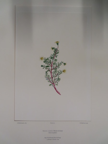 FDA-E.2916_33_20-2016-A image FDA-E.2916_33_20-2016-A