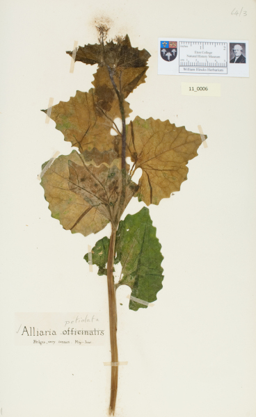 NHM_HH_11.6-2010 image NHM_HH_11.6-2010