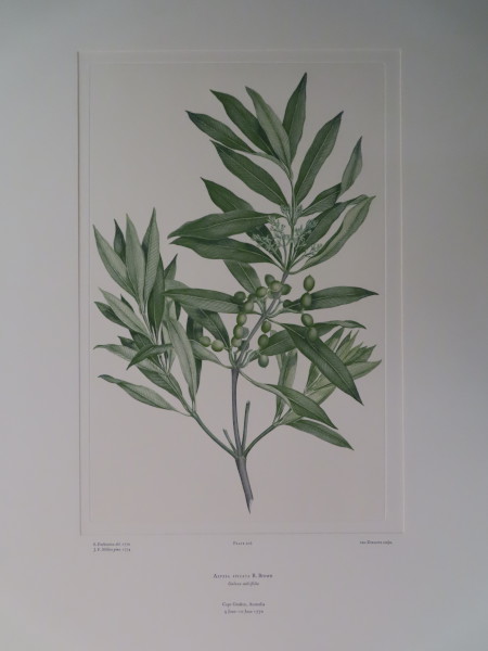 image FDA-E.2916_10_7-2016