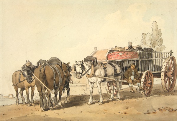 FDA-D.87-2010 image FDA-D.87-2010