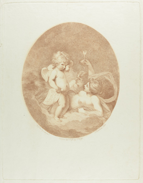 FDA-E.160-2014 image FDA-E.160-2014