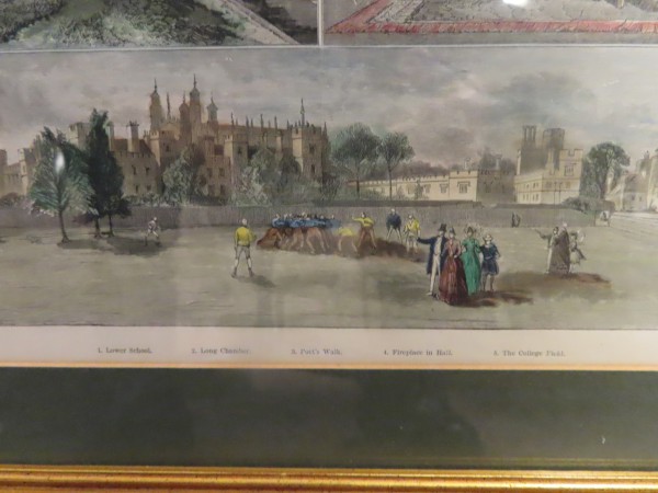 FDA-E.3242-2023-B image FDA-E.3242-2023-B