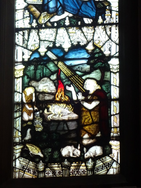 FDA-A.388_8_1c-2013-C image FDA-A.388_8_1c-2013-C