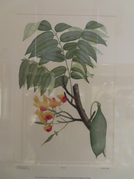 FDA-E.2916_4_20-2016-A image FDA-E.2916_4_20-2016-A