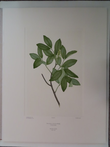 image FDA-E.2916_2_21-2016