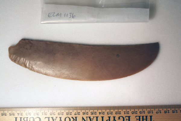 ECM.1136-2010-B image ECM.1136-2010-B