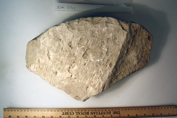 ECM.2319-2017-D image ECM.2319-2017-D