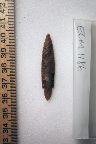 ECM.1186-2010-B image ECM.1186-2010-B