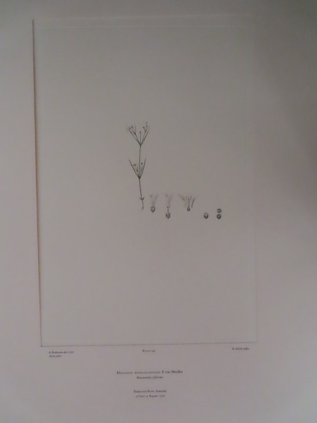 image FDA-E.2916_7_11-2016-A