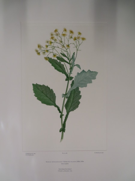 image FDA-E.2916_23_22-2016