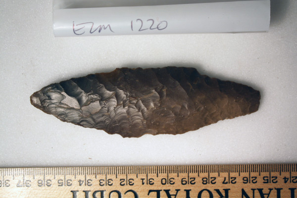 ECM.1220-2010-A image ECM.1220-2010-A