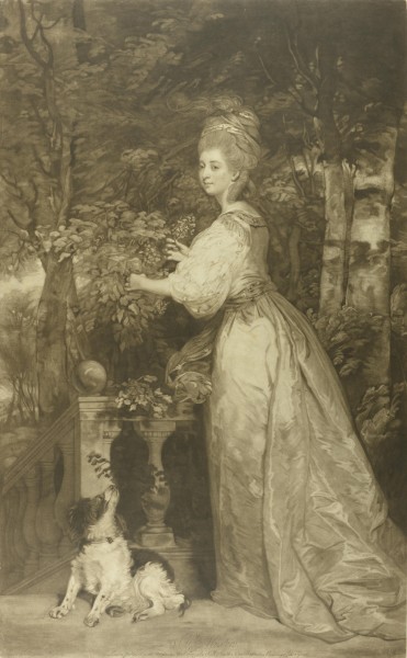 FDA-E.405-2010 image FDA-E.405-2010