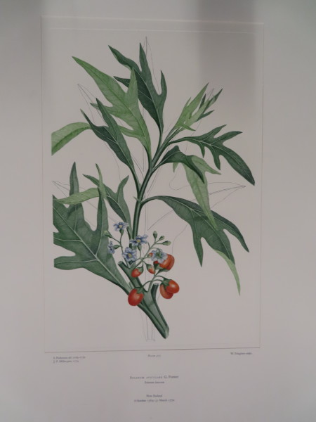 FDA-E.2916_25_5-2016-A image FDA-E.2916_25_5-2016-A