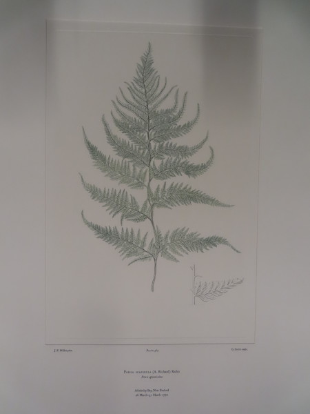 image FDA-E.2916_27_6-2016