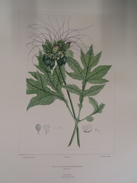 image FDA-E.2916_31_22-2016-A