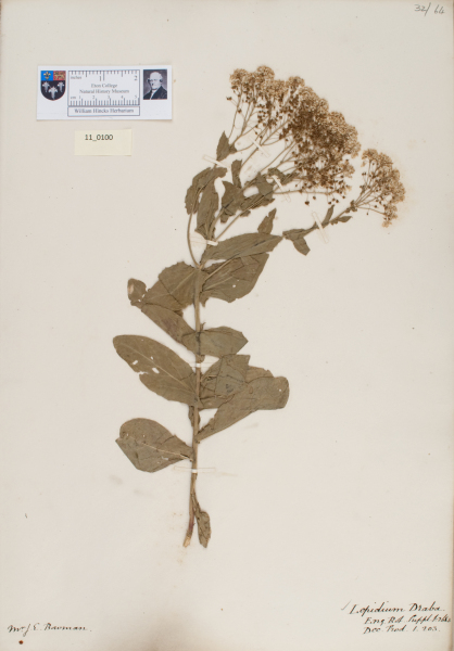 NHM_HH_11.100-2010 image NHM_HH_11.100-2010