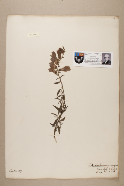 NHM_HH_25.4-2010 image NHM_HH_25.4-2010