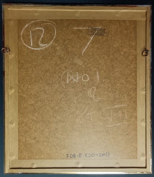 FDA-E.520-2013-J image FDA-E.520-2013-J