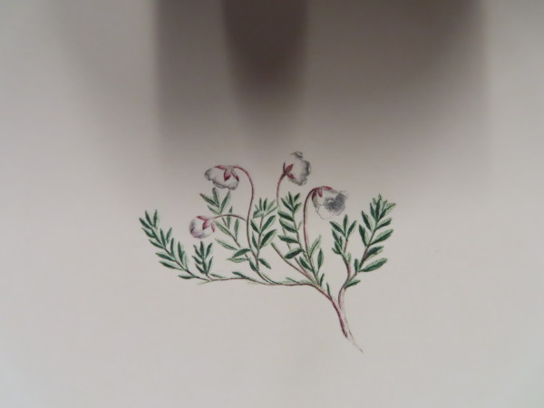 image FDA-E.2916_33_25-2016-A