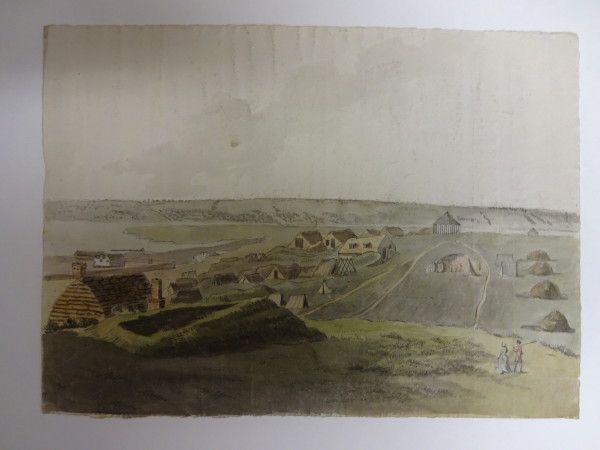 FDA-D.1196-2015 image FDA-D.1196-2015