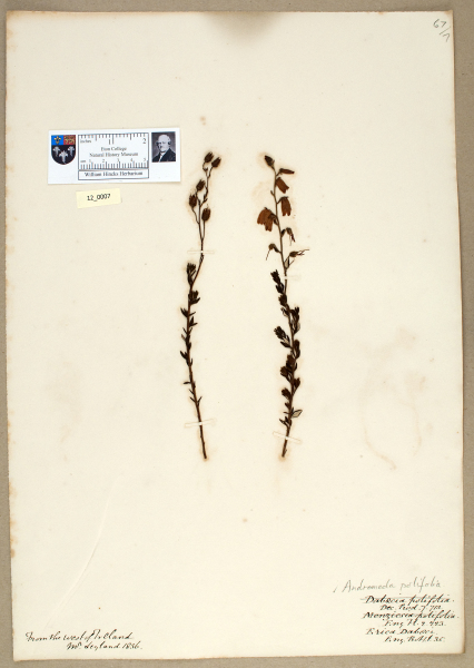 NHM_HH_12.7-2010 image NHM_HH_12.7-2010