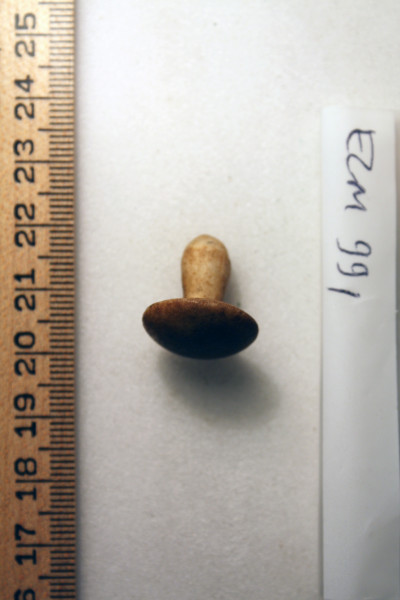 ECM.991-2010-A image ECM.991-2010-A