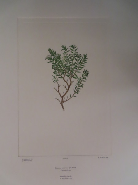 image FDA-E.2916_13_21-2016-A