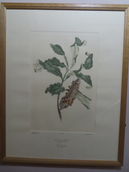 FDA-E.2916_13_19-2016 image FDA-E.2916_13_19-2016