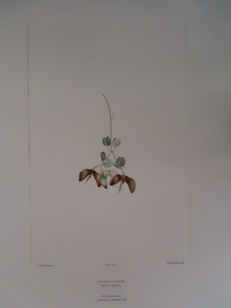 image FDA-E.2916_16_5-2016-A